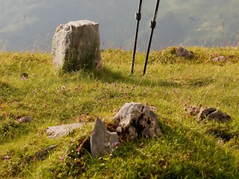 Carbon trekking poles — pair