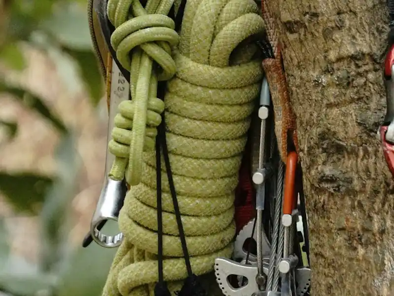 Dynamic rope 9.8 mm — 60 m, dry treated